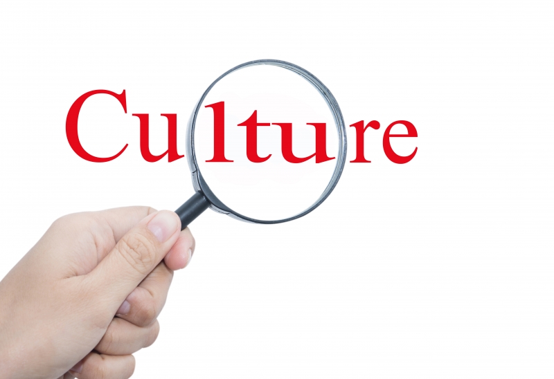 Culture - Leadership Coaching